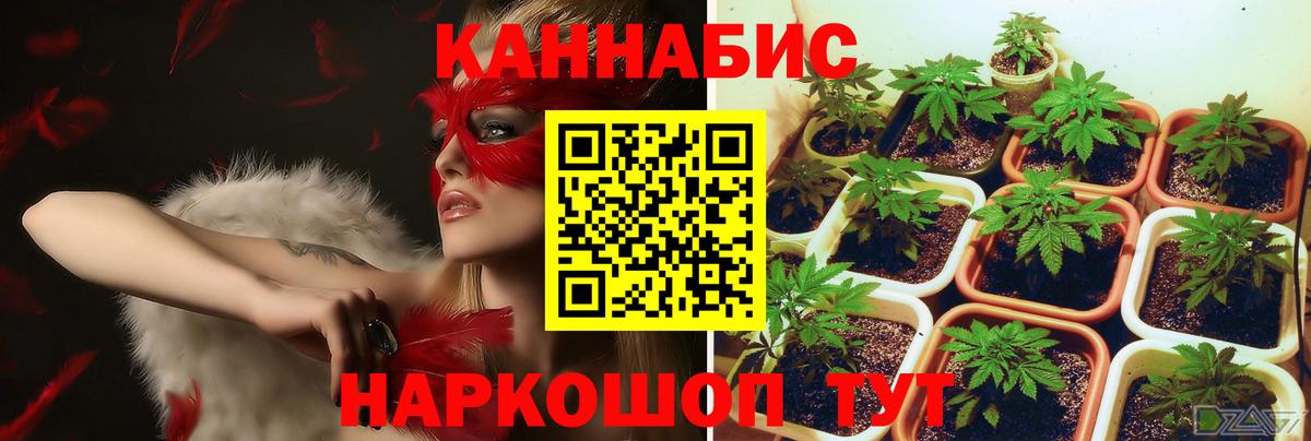 МАРИХУАНА Bruce Banner  Бошки Шишки SATIVA & INDICA  Домодедово  Вход с VPN 